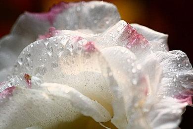 《生化危机2：重制版》登顶！IGN评选十大最佳生存恐怖游戏 